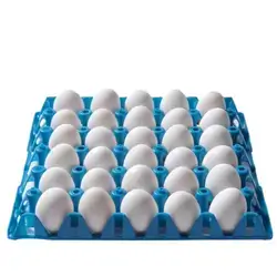 Internal Eggs