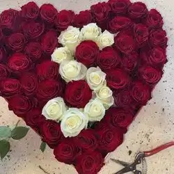 Red Rose In Box