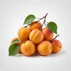 0.5 kg Kurdish Apricot