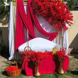 Henna Decoration