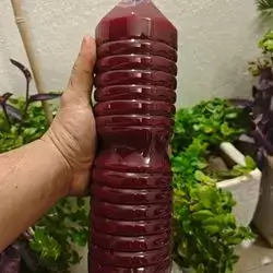 pomegranate ١٠٠%