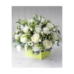 White Mix Flowers Box