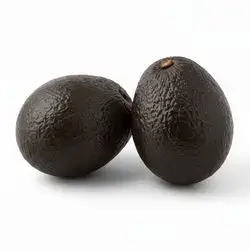 African Avocado