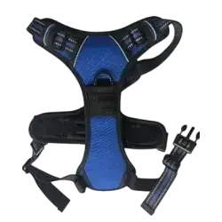 Harness XL