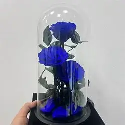 گوڵی فۆڕێڤەر
