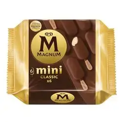 Algida Magnum mini classic x6 - 246g