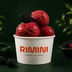 4 Scoops Fresh Berry
