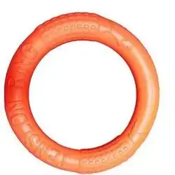 Flying Disc toy