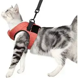 Soft Leash & Harness M