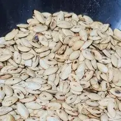 Burnt Smoky Mountain Seed