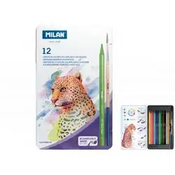 Milan Transparent Briefcase 50 Conical Tip Fibrepens, Peacock Special Series