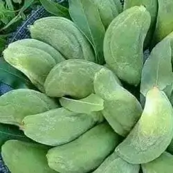 Green Almonds
