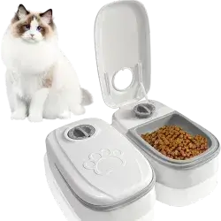 Automatic Feeder Pet