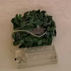 نشره‌ گلۆپ گه‌لای سه‌وز (پاتری)