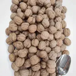 Premium Walnuts