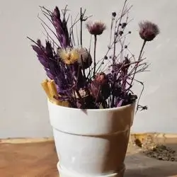 Dried Rose Vase