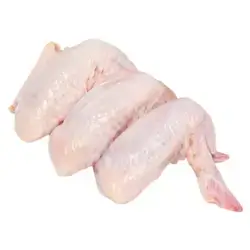 باڵی مریشکی فرێش