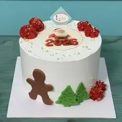 Vanilla cake papa noel decoration