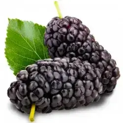 Blackberry