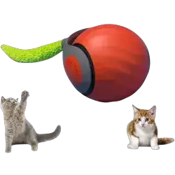 Cat Toy
