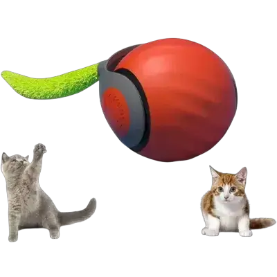 لعبة القطط