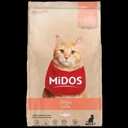 Midos adult cat