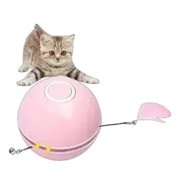Cat Toy