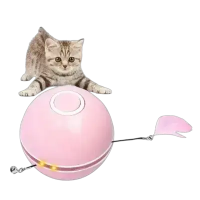 Cat Toy