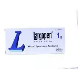 Largopen (Amoxicilin) 1G