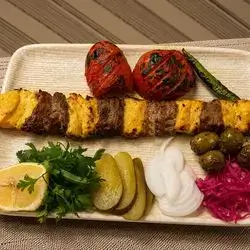 Negini