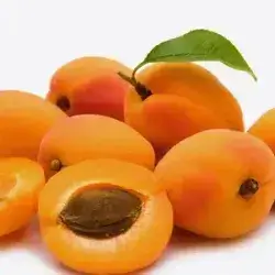 Iranian Apricot