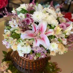 Sapata Flowers