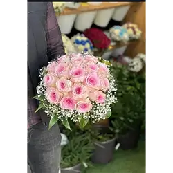 18 Rose