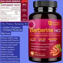 Berberine HCL 1200mg, Berberine Supplement with Ceylon Cinnamon, Chromium, Supports Immune, Gastrointestinal & Digestive Health, Metabolism, weight management, healthy glucose levels, 120 Caps berberine