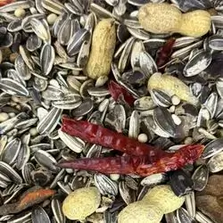 Bird Food