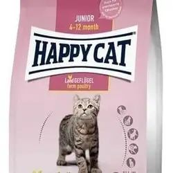 Happy Cat 3