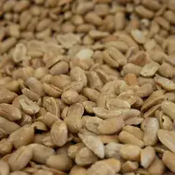 Peanut