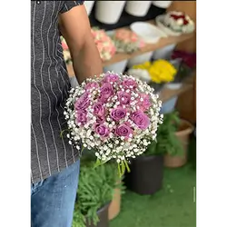 13 Rose