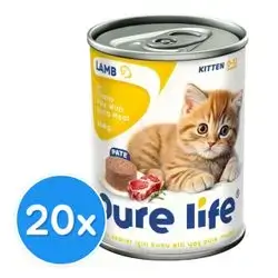 Pure life kitten Lamb
