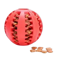 Treat Ball Toy