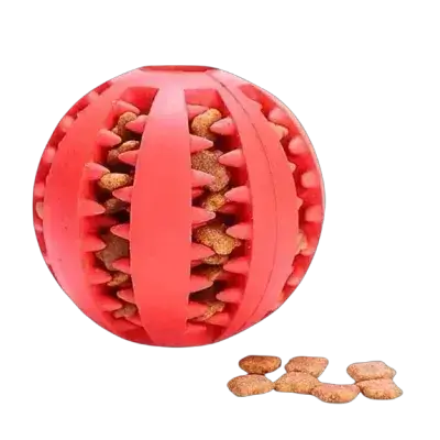 Treat Ball Toy