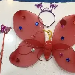 Butterfly