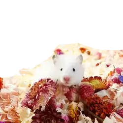E920 Natural Hamster Bedding