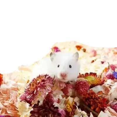 E920 Natural Hamster Bedding