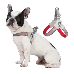 Harness XL