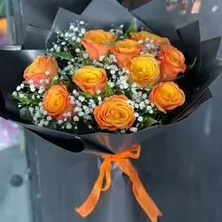 10 Rose