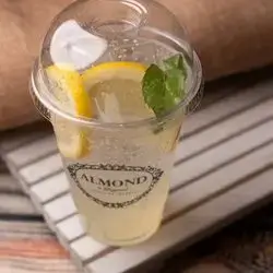 LEMON & MINT MOJITO