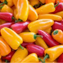 Long colored pepper