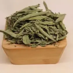 Stevia