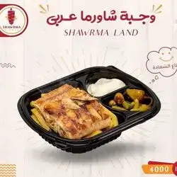 Arabic Shawarma Meal